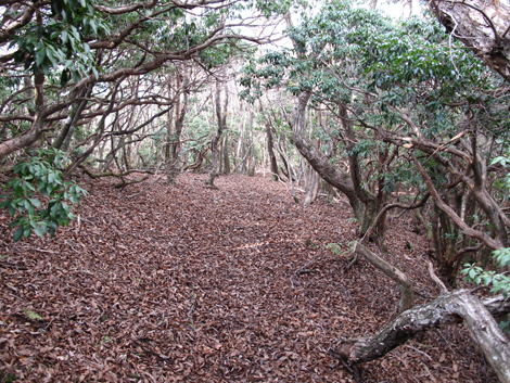 20131124hike (366)